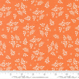 The image is a repeating pattern of white flowers on an orange background.