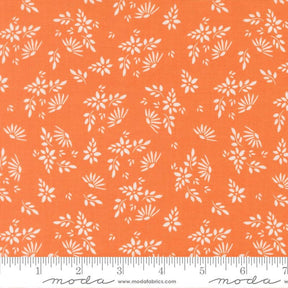 The image is a repeating pattern of white flowers on an orange background.