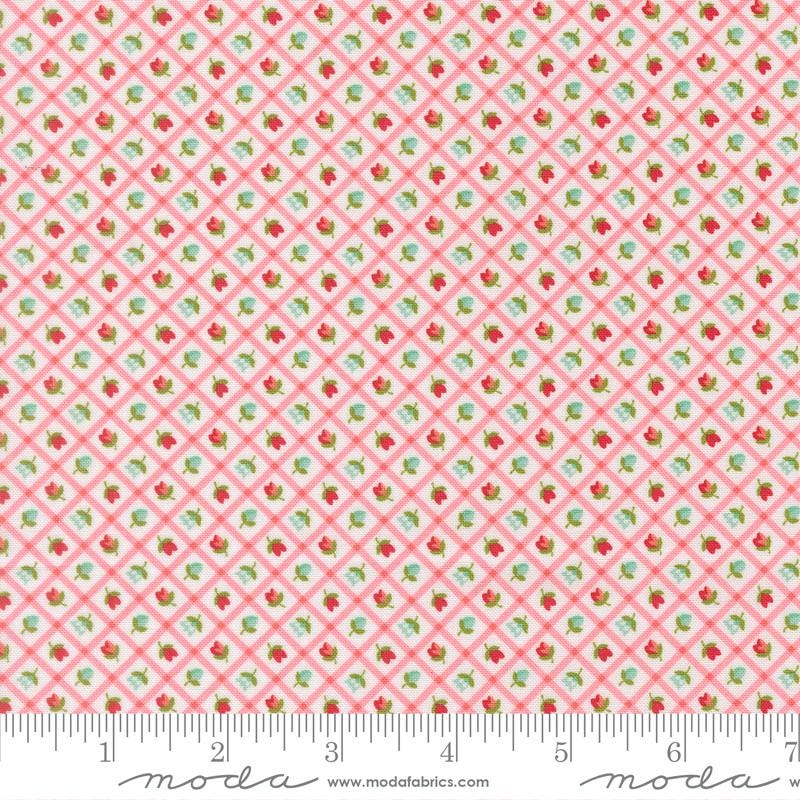 The image is a fabric with a pink and green checkered pattern, featuring small flower-like designs in shades of green and red.
