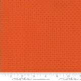 Hop Skip And A Jump 21098-114 by American Jane for Moda Fabrics Sold in 1/2 Yard increments