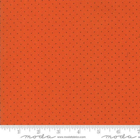Hop Skip And A Jump 21098-114 by American Jane for Moda Fabrics Sold in 1/2 Yard increments