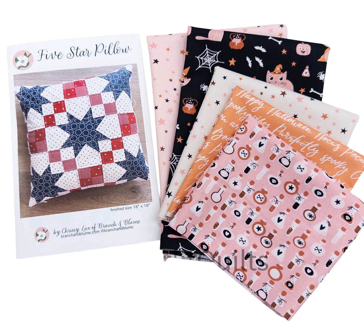 Five Star Pillow Kit featuring Purrs and Boos, includes Pattern and fabric for the pillow front and backing 18" x 18"