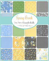 Spring Brook Charm Pack by Corey Yoder Little Miss Shabby for Moda Fabrics 29110PP