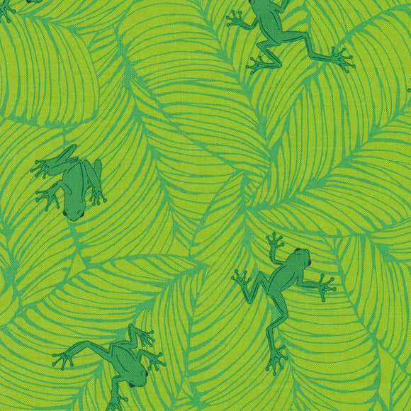 Jungle Paradise Seedling Oh Froggy Yardage  20786-19 by Staci Iest Hsu for Moda Fabrics