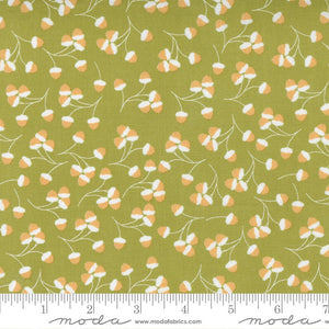 Cozy Up Acorns Moss Half Yard Cuts 29123-15 by CoreyYoder for Moda Fabrics
