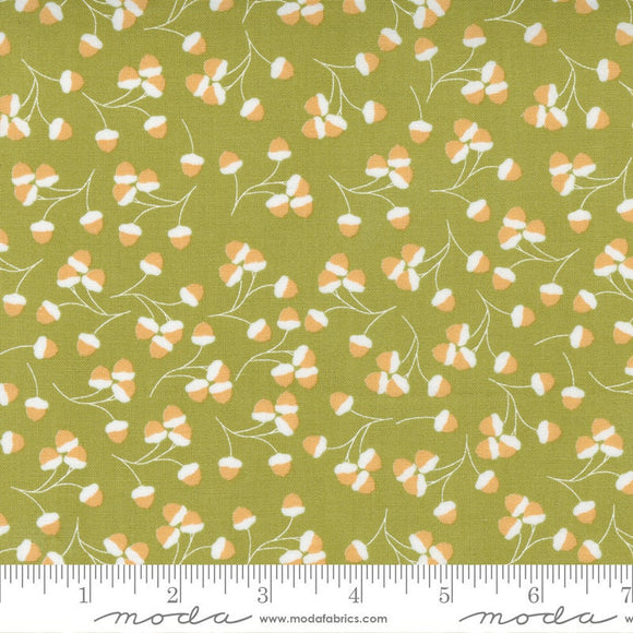 Cozy Up Acorns Moss Half Yard Cuts 29123-15 by CoreyYoder for Moda Fabrics
