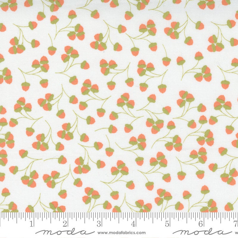 Cozy Up Acorns Novelty Cloud Half Yard Cuts 29123-11 by CoreyYoder for Moda Fabrics