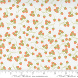 Cozy Up Acorns Novelty Cloud Half Yard Cuts 29123-11 by CoreyYoder for Moda Fabrics