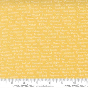 Cozy Up Trees Sunshine Half Yard Cuts  29124-24 by CoreyYoder for Moda Fabrics