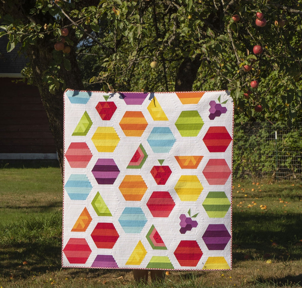 Fresh Fruit Sampler Quilt  Pattern - TQL10027 - PAPER PATTERN-only By Krista Moser