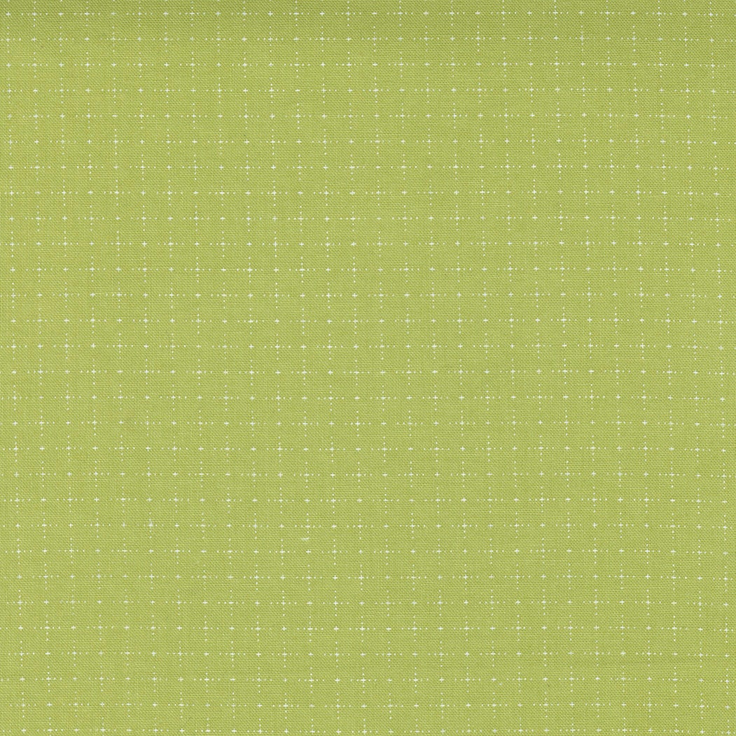 Beautiful Day Star Gazing Pistachio Yardage 29136-26 by Corey Yoder for Moda Fabrics Sold by 1/2 Yard increments