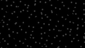 Hole Punch Dot Black Yardage by Kimberly Kight for Ruby Star Society RS5025-36