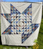 Schnibbles - Harvey RQC481 From Miss Rosie's Quilt Co By Carrie Nelson Bin MP