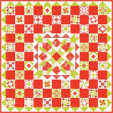 Medallion Sampler Quilt Pattern by Fig Tree Quilts, Paper Only 72 1/2 x 72 1/2 inches