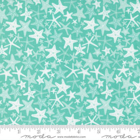 The Sea and Me You're a Star Spray 20796-15 by Stacy Iest Hsu