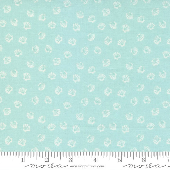 The Sea and Me Lucky Shell Seafoam 20798-13 by Stacy Iest Hsu  Sold in 1/2 yard increments