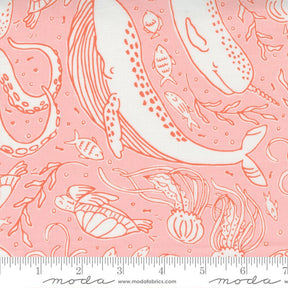 The Sea and Me Ocean Friends Shell 20794-19 by Stacy Iest Hsu sold in 1/2 yard increments