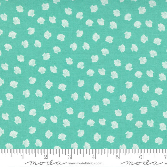 The Sea and Me Lucky Shell Spray 20798-15 by Stacy Iest Hsu  Sold in 1/2 yard increments