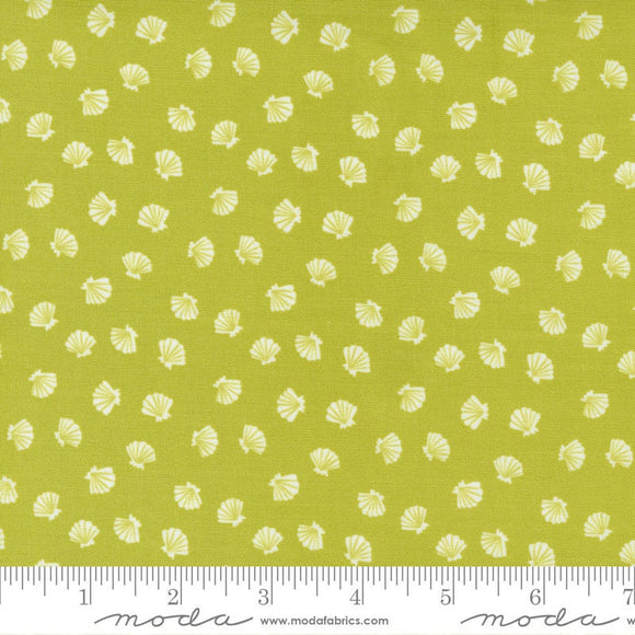 The Sea and Me Lucky Shell Seaweed 20798-17 by Stacy Iest Hsu  Sold in 1/2 yard increments