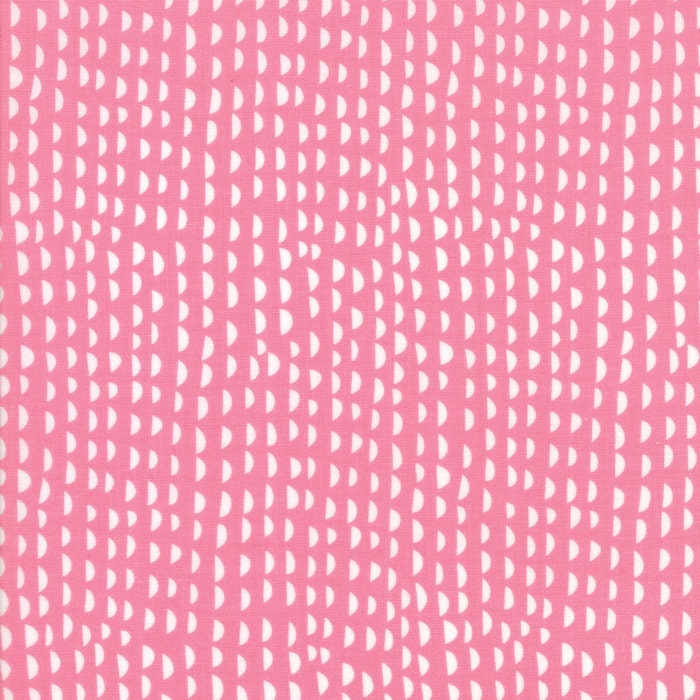 Just Another Walk in the Woods Layer Cake Stacy Iest Hsu for Moda Fabrics SKU20520LC