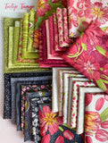 Tulip Tango Half Yard Bundle 30 prints by Robin Pickens for Moda 48680HYB