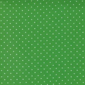 Twinkle Grass Yardage 24106-48  by April Rosenthal for Moda Fabrics