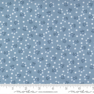 Nantucket Summer Fairground Light Blue yardage 55266-24 by Camille Roskelley for Moda Fabrics
