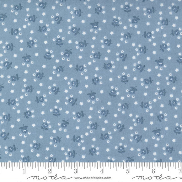 Nantucket Summer Fairground Light Blue yardage 55266-24 by Camille Roskelley for Moda Fabrics
