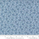 Nantucket Summer Fairground Light Blue yardage 55266-24 by Camille Roskelley for Moda Fabrics