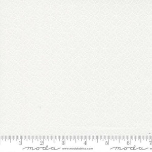 Coriander Seeds Peels White 29144-11 by Corey Yoder for Moda Fabrics