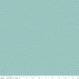 Bee Ginghams Jade Bee Ginghams Kassidy C12557-Jade by Lori Holt for Riley Blake Sold in 1/2 yard Increments
