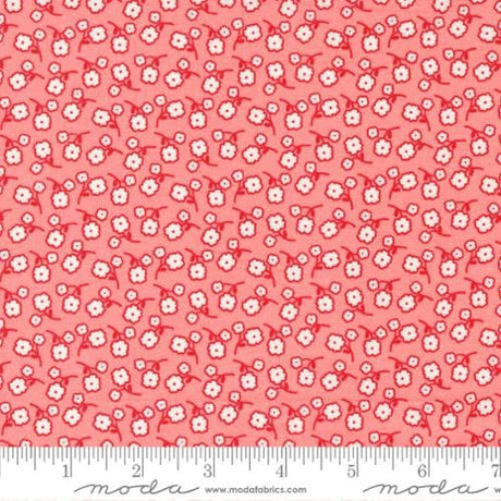 Zinnia Pollen Rainbow Yardage 24136 28  by April Rosenthal Sold in 1/2 yard increments