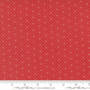 Fruit Cocktail Eyelet Cherry by Fig Tree and Co. 20457-45 Sold in 1/2 yard increments
