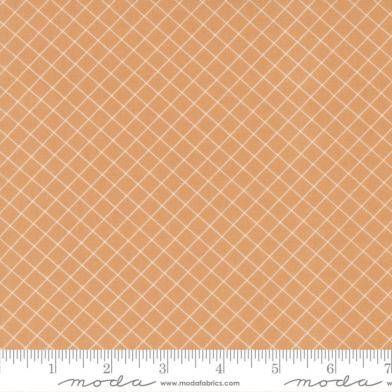 Sunnyside Graph Apricot 55283-18 by Camille Roskelly sold in 1/2 yard increments