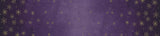 Ombre Flurries Aubergine 10874 224MG by V & Co. for Moda Fabrics