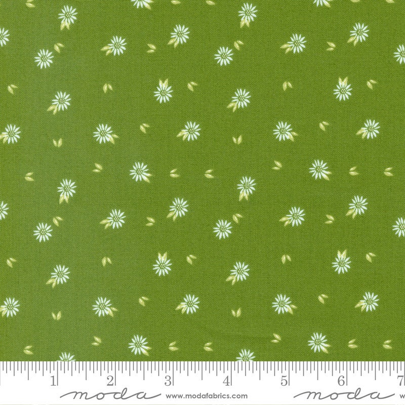 Favorite Things Amaryllis Florals in Snow 37650 11 by Sherri and Chelsi sold in 1/2 yard increments