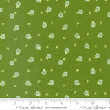 Favorite Things Amaryllis Florals in Snow 37650 11 by Sherri and Chelsi sold in 1/2 yard increments