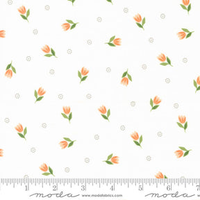 Bountiful Blooms Tulip Off White Yardage 37662-11 by Sherri and Chelsi Sold in 1/2 yard increments cut continiously
