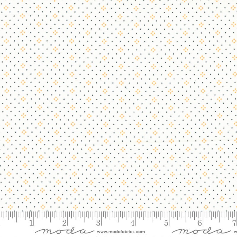 Eyelet Ivory Pumpkin Yardage 20488-87 By Fig Tree Quilts sold in 1/2 yard increments
