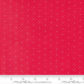 Eyelet Cherry Yardage 20488-66 By Fig Tree Quilts sold in 1/2 yard increments