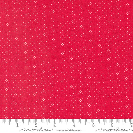 Eyelet Cherry Yardage 20488-66 By Fig Tree Quilts sold in 1/2 yard increments