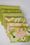 Dandi Duo Green Colorway Fat Quarter bundle 6 Prints by Robin Pickens for Moda Fabrics