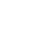 Modern Background Paper White on White Handwriting 2 yard cut 1580-11 by Zen Chic