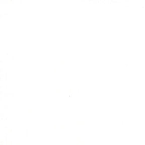 Modern Background Paper White on White Handwriting 2 yard cut 1580-11 by Zen Chic